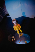 Музыка моего дятла