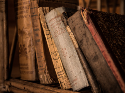 Фото Встреча Книжные аллеи. Адреса и строки Пушкина