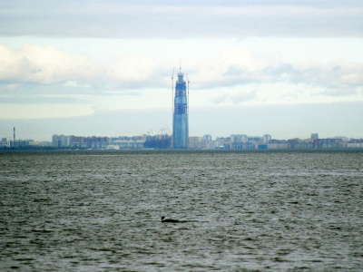 Фото Заплыв на открытой воде Poseidon