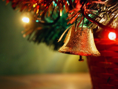 Фото Новогоднее представление Нам не страшен Новый год...