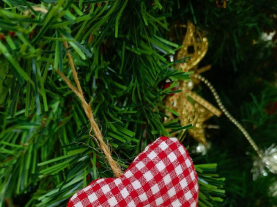 Фото Рождественская ярмарка в Новой Голландии 2024/2025