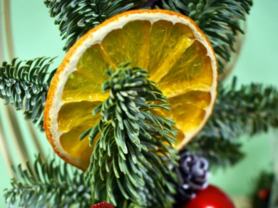 Фото Концерт Радуйся, мир!