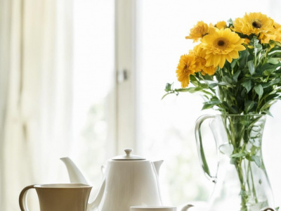 Фото Интерактивная программа Приятного аппетита, Робин!