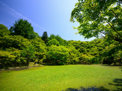 Фото Интерактивное занятие Парк Усадьбы Орловых-Денисовых