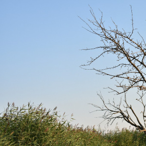 Экспозиция "Имперский зал: Многонародная Россия"