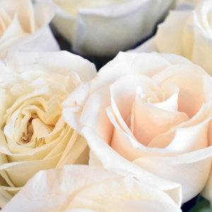 Весенний маркет в Лофт Проекте Этажи