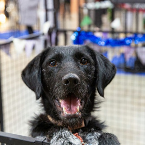 Фестиваль "Путь домой" в Брусницыне