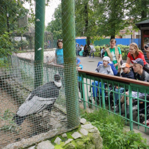 Инклюзивный фестиваль "Зоопарк - территория добра"