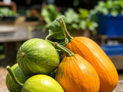 Фото Акция Кабачковый своп