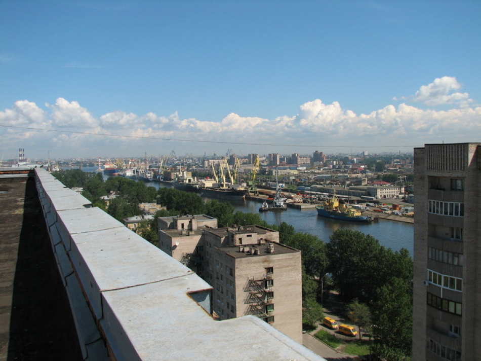 В Петербурге остановили крупную партию арахиса из-за опасного насекомого