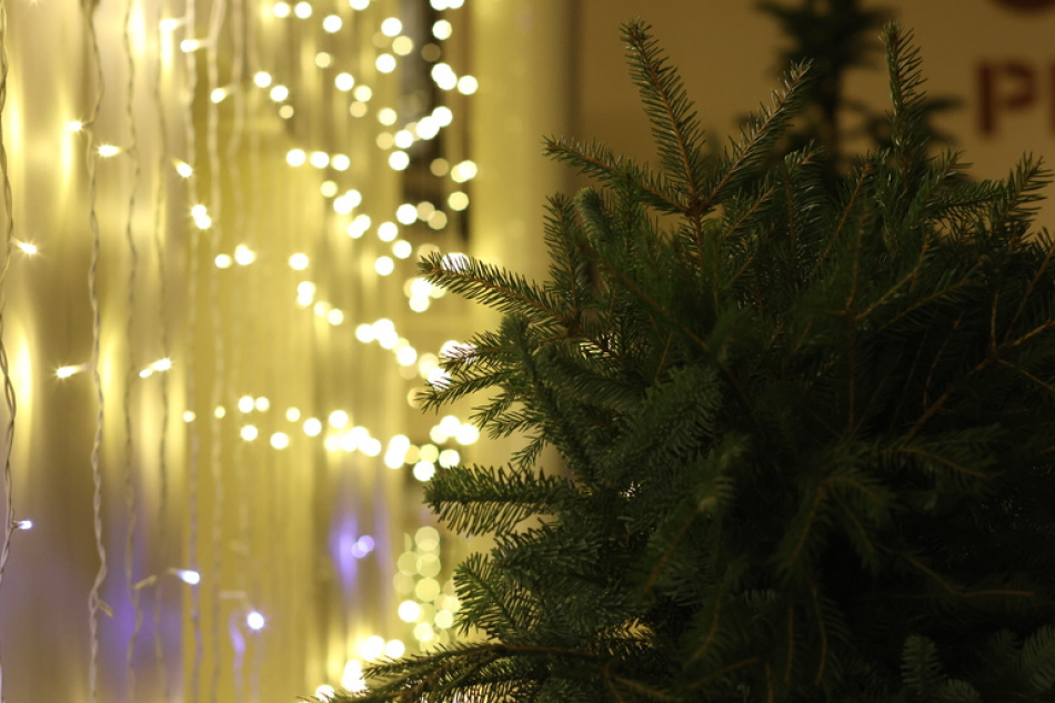 Житель Всеволожска получил семь лет колонии за убийство гостя в новогоднюю ночь