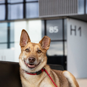 Фестиваль "Путь домой"