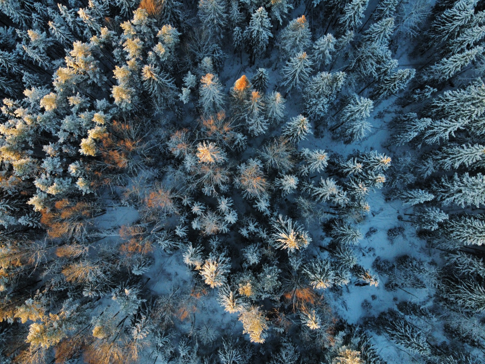 На Валааме завершились поиски паломницы: тело женщины обнаружили утром