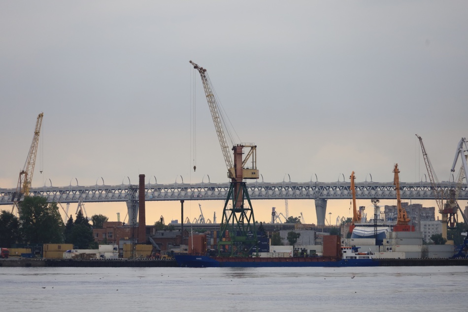 В морском порту Петербурга задержали крупную партию табака из-за опасных мух-горбаток