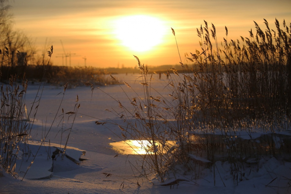 В Петербурге наступит зимнее солнцестояние и самый короткий день