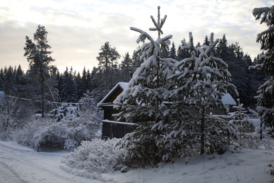 Суд обязал Леноблводоканал закрыть скважину в Ромашках из-за нарушений