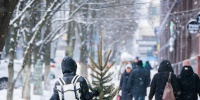 Вторая жизнь новогодних деревьев: как и где сдать елку в Петербурге в январе 2026 года