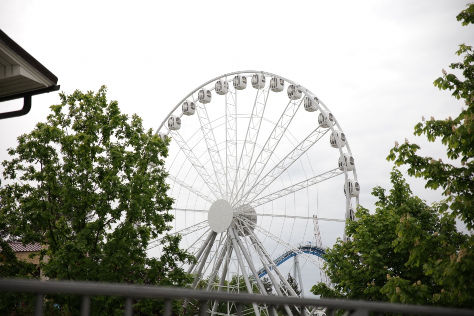 В Петербурге продают знаменитое колесо обозрения из «Диво Острова» за 60 млн рублей