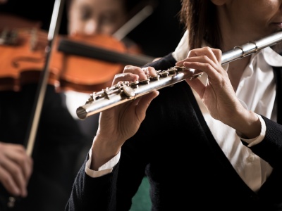 Фото Концерт Максима Алексеева и ГСО