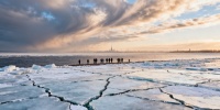 Спутники зафиксировали рекордное ледяное покрытие Финского залива в Петербурге