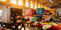 В Петербург завезли рекордные 8 млн свежих цветов к 8 Марта