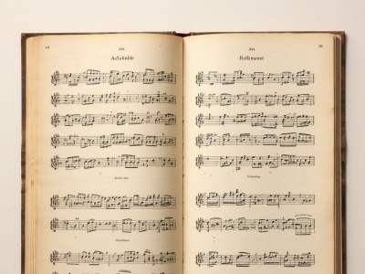 Фото Концерт музыки для органа и скрипки Струнный орган